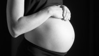 ¿Pueden las embarazadas comer jamón ibérico? Si Siempre se ha pensado que las mujeres embarazadas no podían probar el jamón ibérico durante el embarazo debido a la posibilidad de contraer la toxoplasmosis pero un estudio reciente concluye todo lo contrario. La toxoplasmosis...